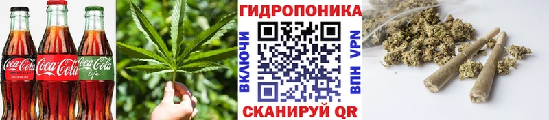 Canna-Cookies конопля гидра рабочий сайт Жиздра