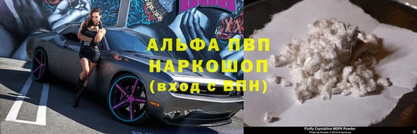 амф Вязьма