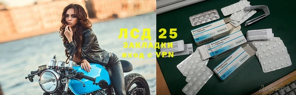 стаф Липки