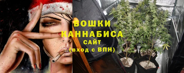 стаф Липки