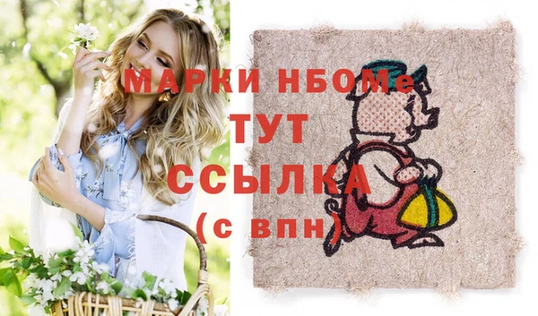 стаф Липки