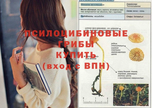 спиды Белокуриха