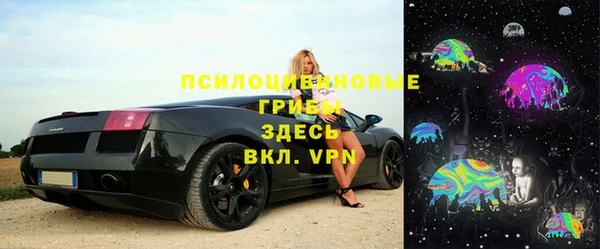 стаф Липки