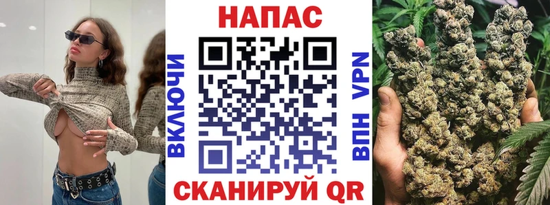 Канабис конопля  Жиздра 